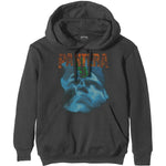 Pantera "Far Beyond Driven" (hoodie, large)