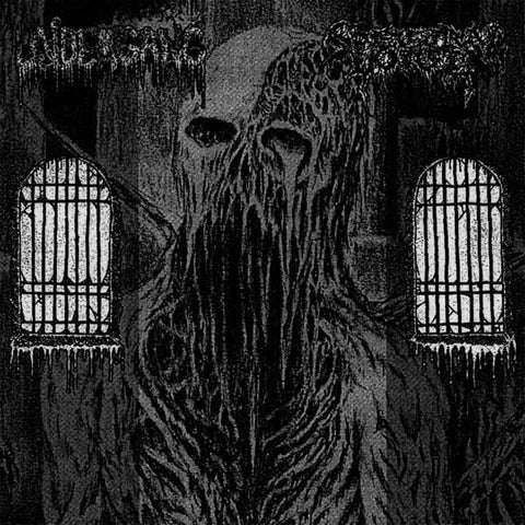 Spectral Voice / Undergang "Split" (cd)