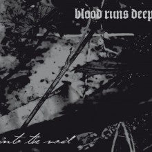 Blood Runs Deep "Into the Void" (cd, digi, used)