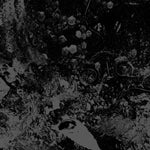 Primitive Man / Unearthly Trance "Split" (lp)